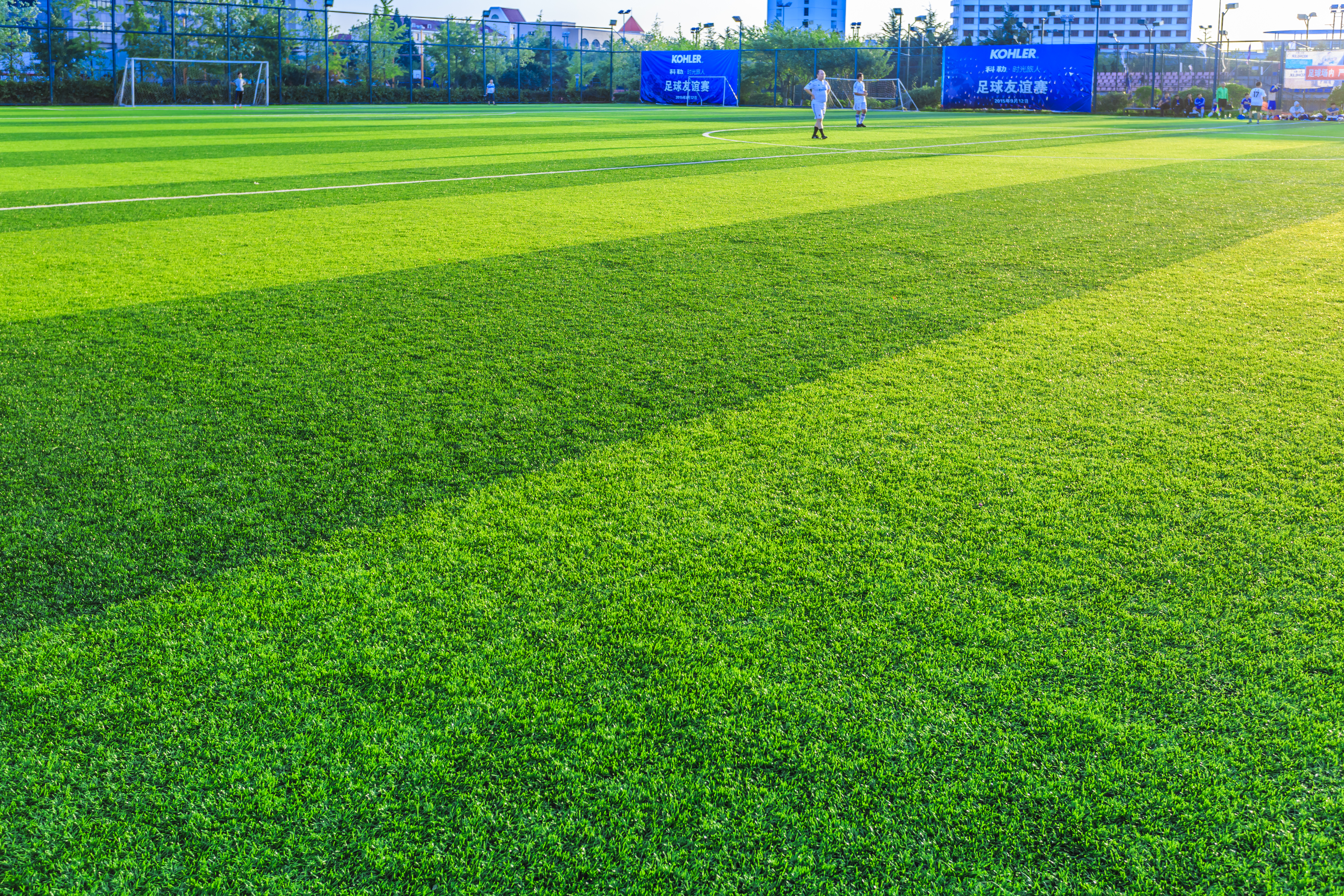 Sports Grass